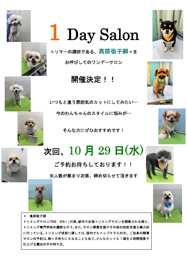 1DaySalon
